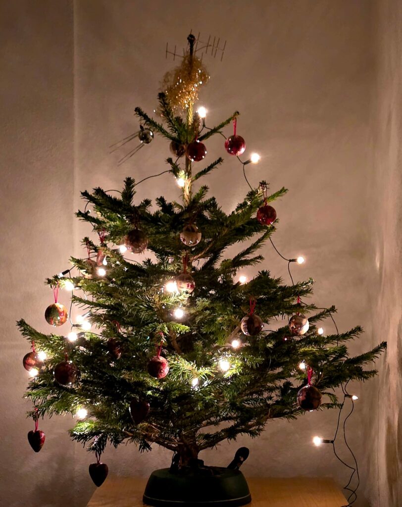 Weihnachtsbaum 2025